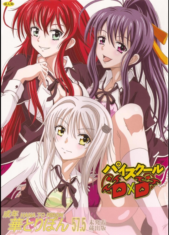 [STUDIO 華とりぼん] 成年華とりぼん57.5 パイスクールD×D (ハイスクールD×D)