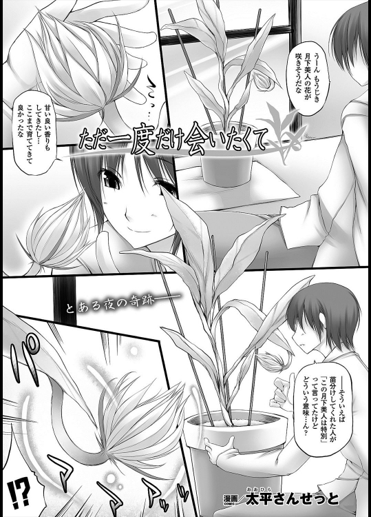 [太平さんせっと] ただ一度だけ会いたくて