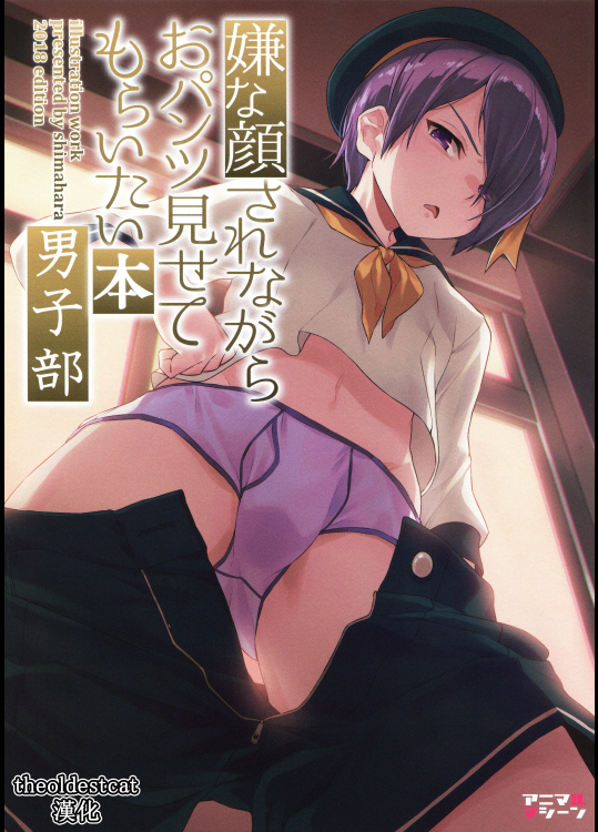 (C95) [アニマルマシーン (40原)] 嫌な顔されながらおパンツ見せてもらいたい本 男子部 (オリジナル)