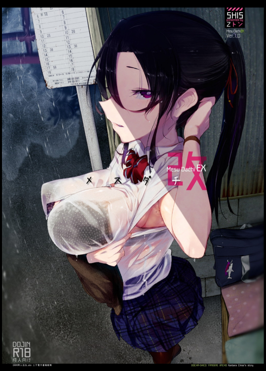 [SHIS (Zトン)] メスダチ改 (オリジナル) [ページ修正・縮小版]