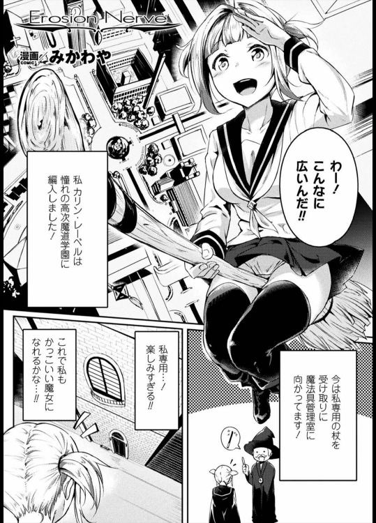 [みかわや] Erosion Nerve