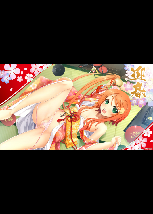 ダイジョビ研究所CG持っている方いませんか?