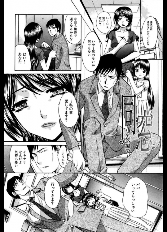 SCHAFT SECURITY SYSTEM