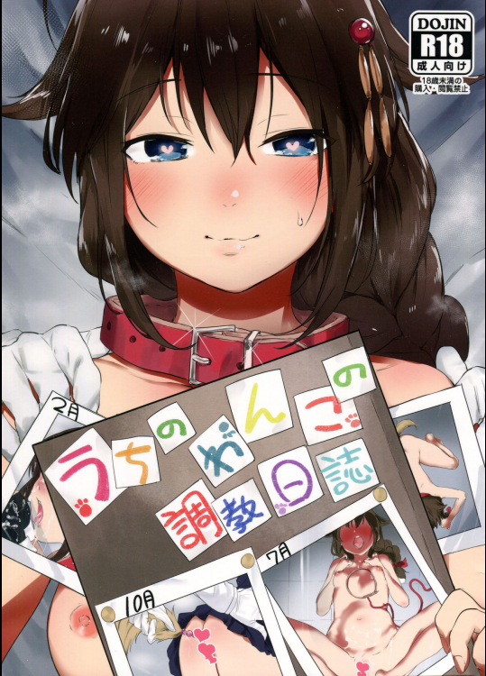 (C91) [焼きトマホークステーキ (焼きトマト)] うちのわんこの調教日誌 (艦隊これくしょん -艦これ-)