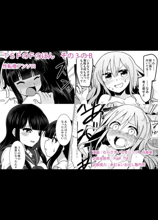 TSFのFのほん その3のB