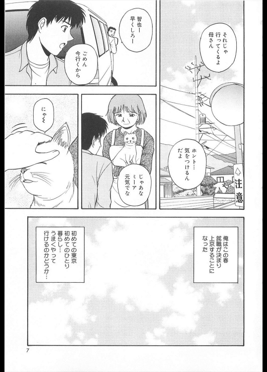 [佐藤茶菓子] Looking For…／前・後編