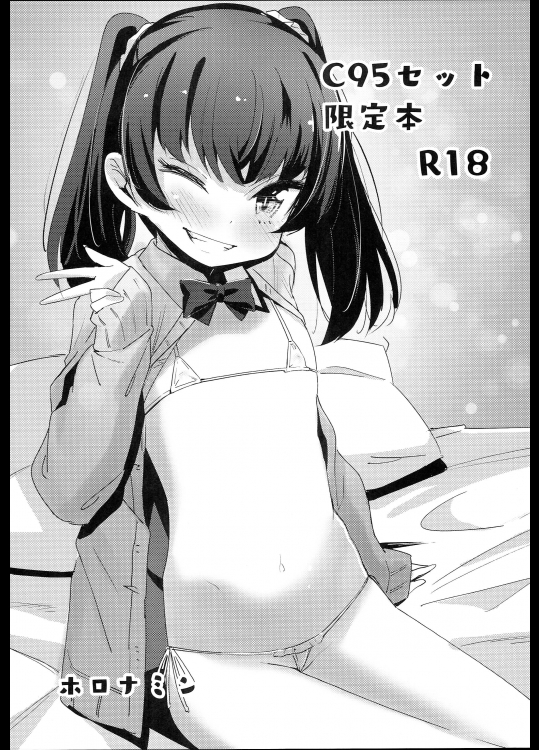 【ホロナミン】 C95セット限定本