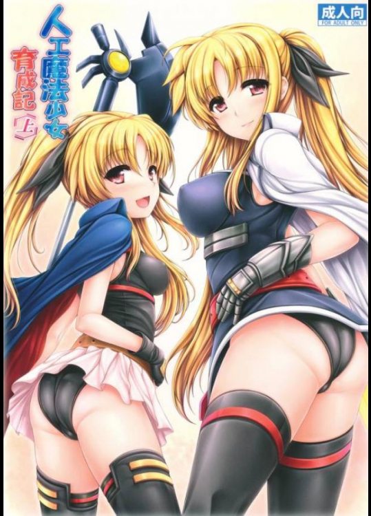 人工魔法少女育成記・上