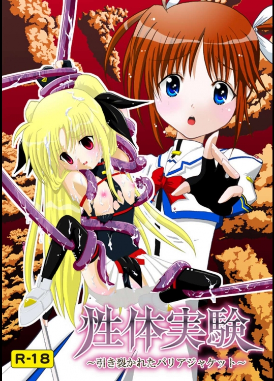 性体実験～引き裂かれたバリアジャケット～          