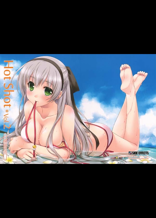 エリィ、他女性キャラを描いたファルコム系のイラスト本になります！かなり綺麗に作られています！【英雄伝説 零の軌跡 同人誌・エロ漫画】