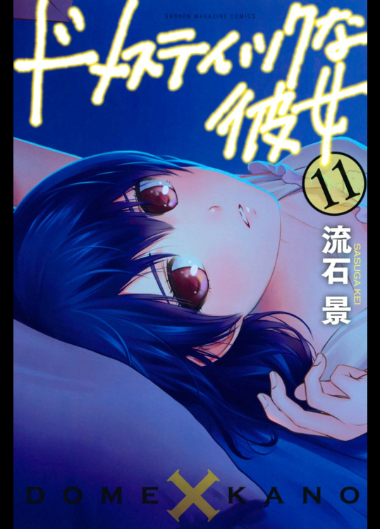 [Mint]- [流石景] ドメスティックな彼女 第11巻