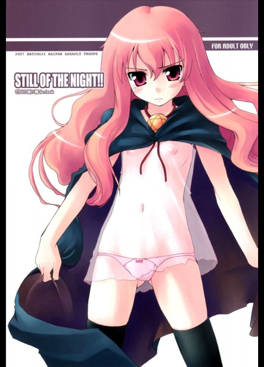 ゼロの使い魔_37