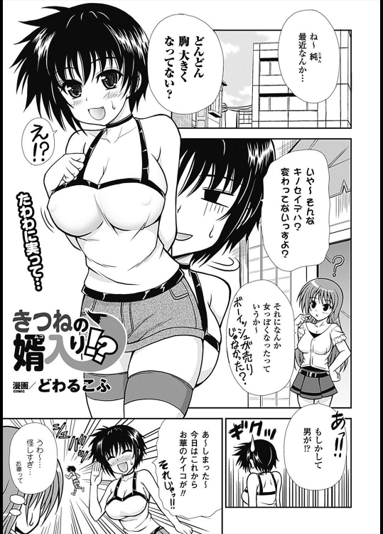 [どわるこふ] きつねの婿入り！？