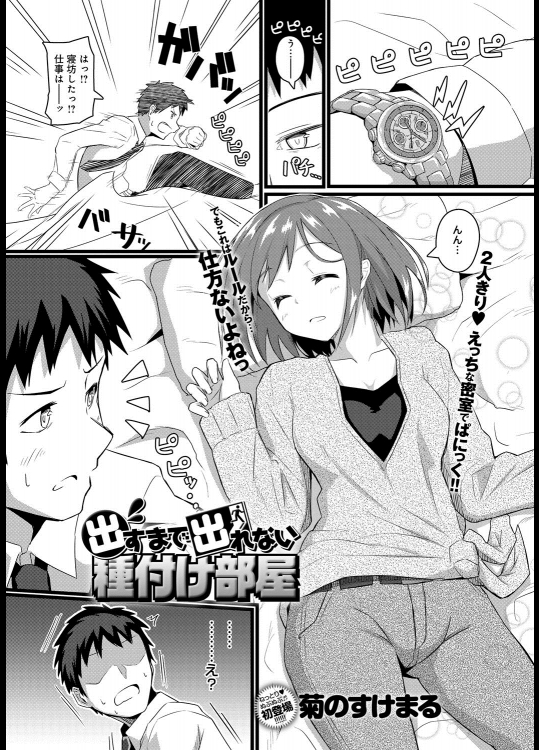 [菊のすけまる]まとめ