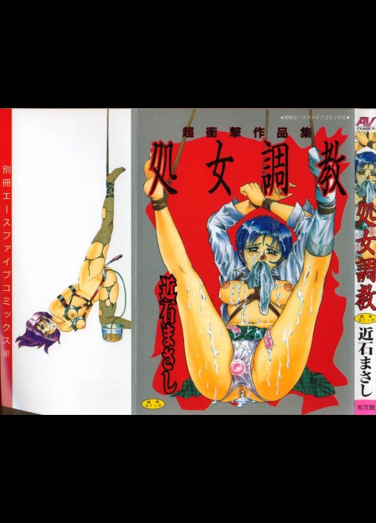 成年コミック