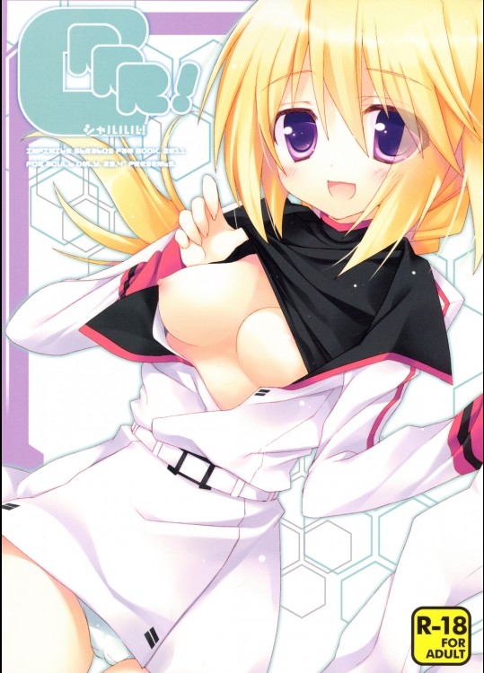 インフィニット・ストラトスのエロ同人誌_3