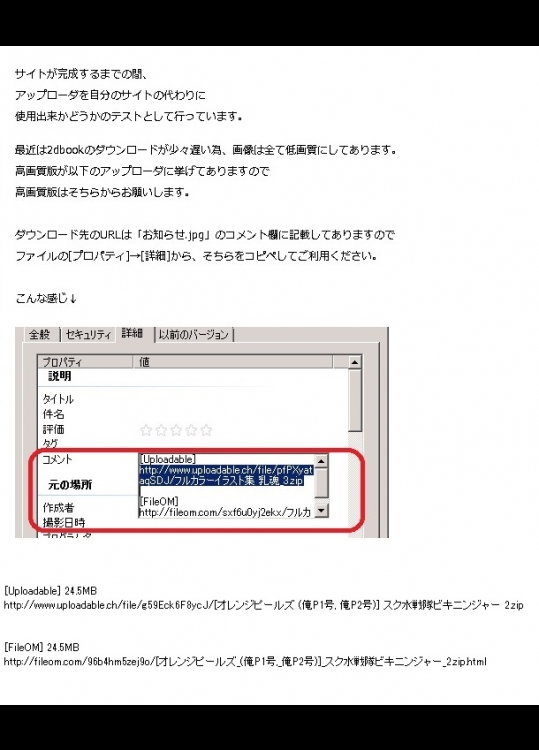 スク水戦隊ビキニンジャー_6