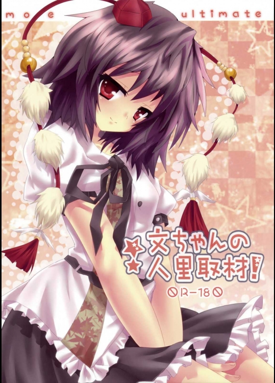 文ちゃんの人里取材！          