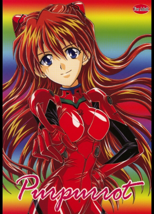 【ボディスーツ】新世紀エヴァンゲリオンのエロ同人誌_2