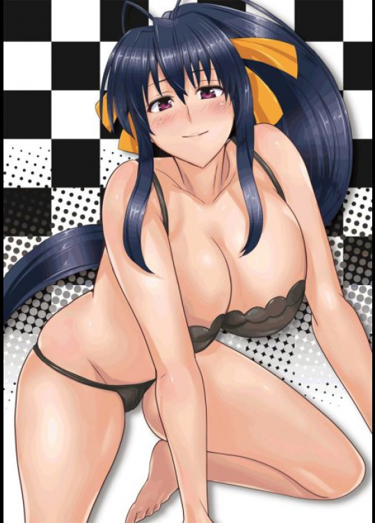 朱乃さんとD×D ハイスクールD×D同人誌