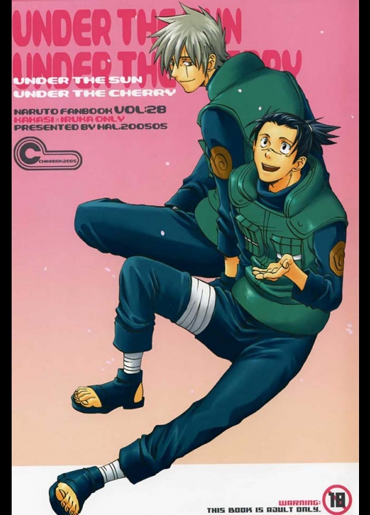 カカシ×イルカのいわゆるハードなやおい作品であります。結構ボリュームたっぷりで読み応えがあります。【