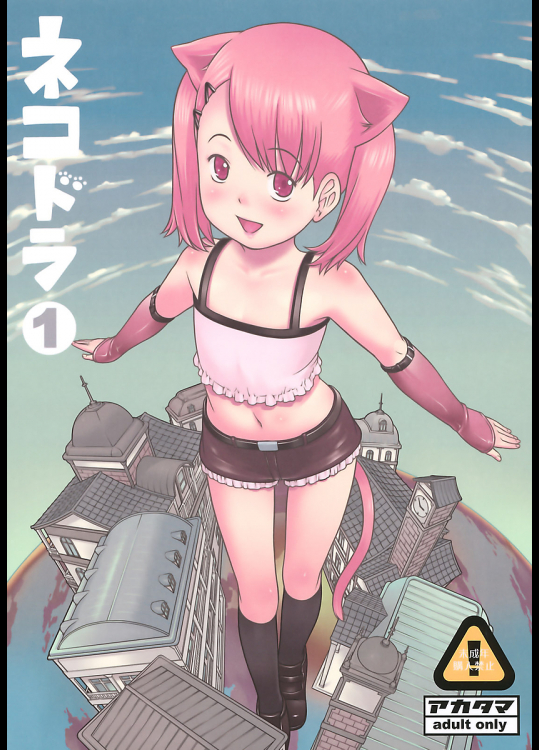 [アカタマ]ネコドラ1巻