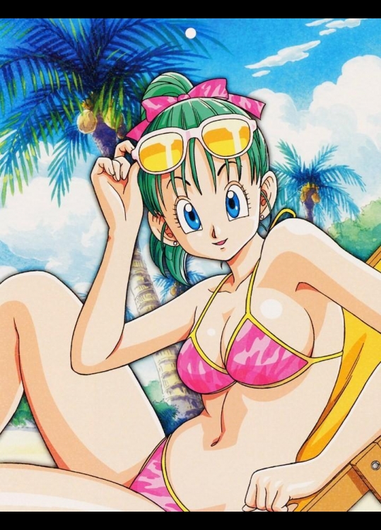 「ドラゴンボール」のブルマ_2