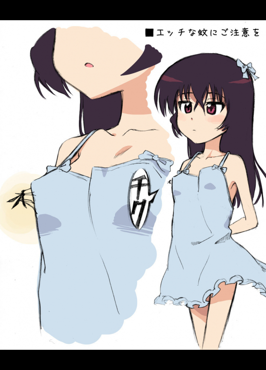 エッチな蚊にご注意を