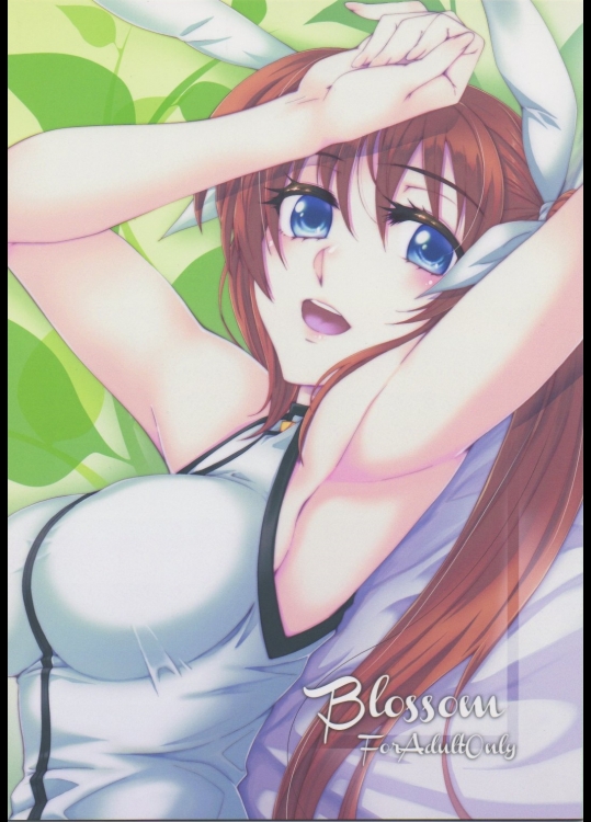 (C82) [ROCK`inChair (ジンナイ)] Blossom (魔法少女リリカルなのは)