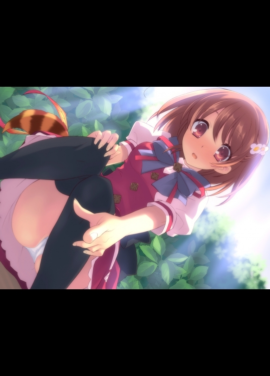 パンチラ_29