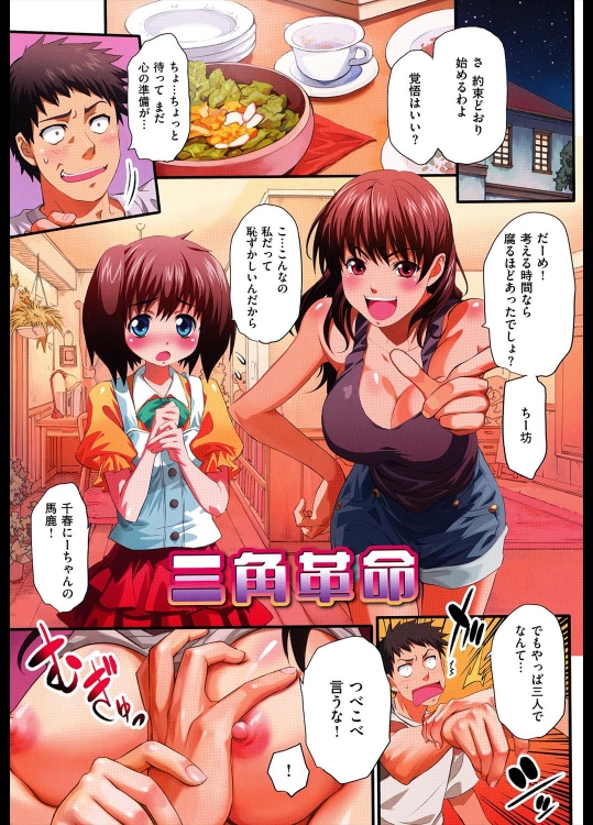 [シヒラ竜也] 三角革命