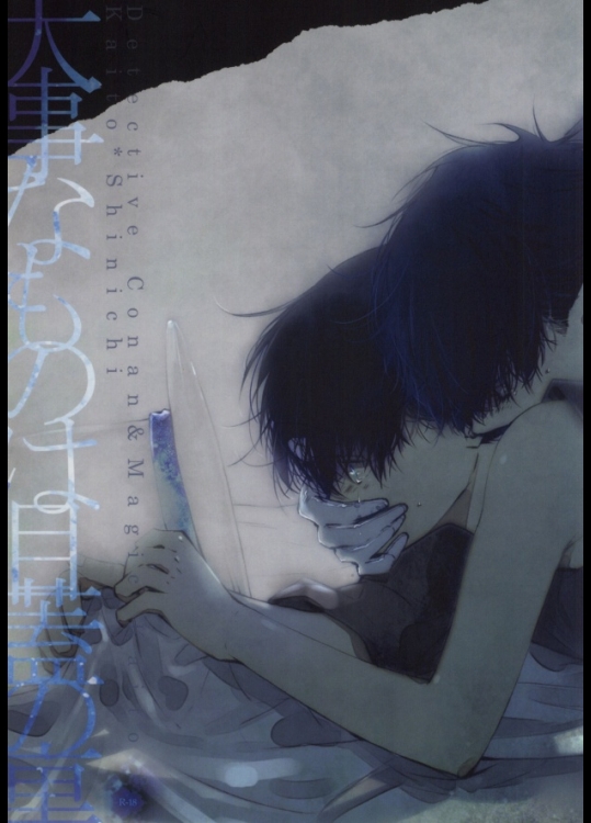 (SPARK6) [TENNEN (穂積)] 大事なものは目蓋の裏 (名探偵コナン)