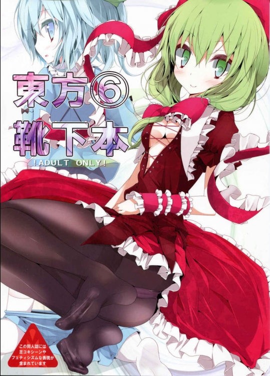 [嘘つき屋(大嘘)]東方靴下本6(東方Project)
