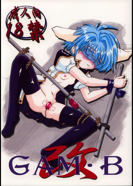Gam・B 改          