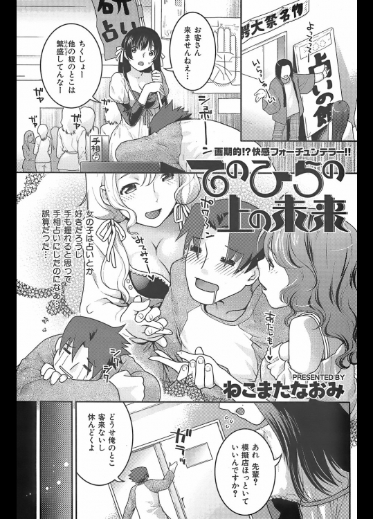 SCHAFT SECURITY SYSTEM