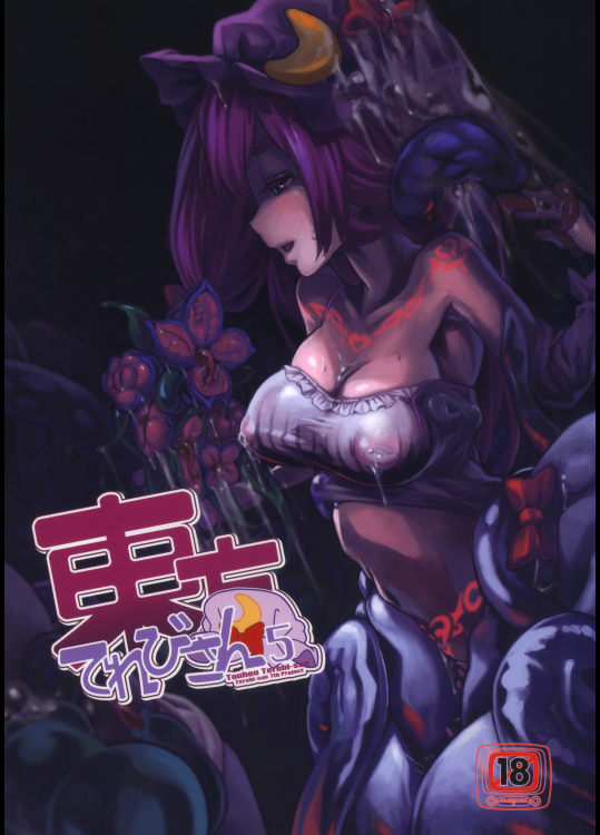 【中枢回路】 東方てれびさん 5