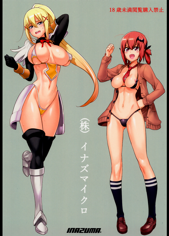 [Digital Accel Works](株) イナズマイクロ
