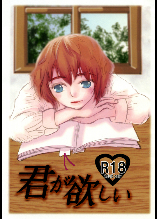 (みみけっと29) [独断と偏見 (はるまき)] 君が欲しい