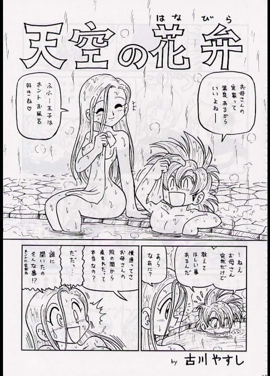 新高山登山隊 天空の花弁