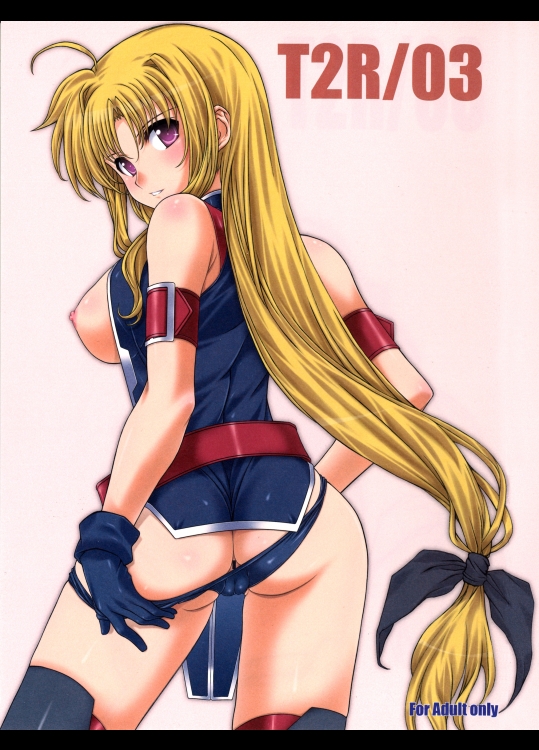 (C85) [BRIEST (八嶋テツヤ)] T2R03 (よろず)