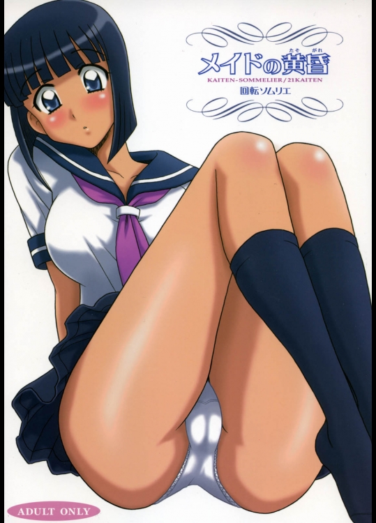 (C75) (同人誌) [回転ソムリエ] 21回転～メイドの黄昏～ (ゼロの使い魔)