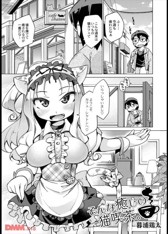 そんな癒しの猫喫茶。