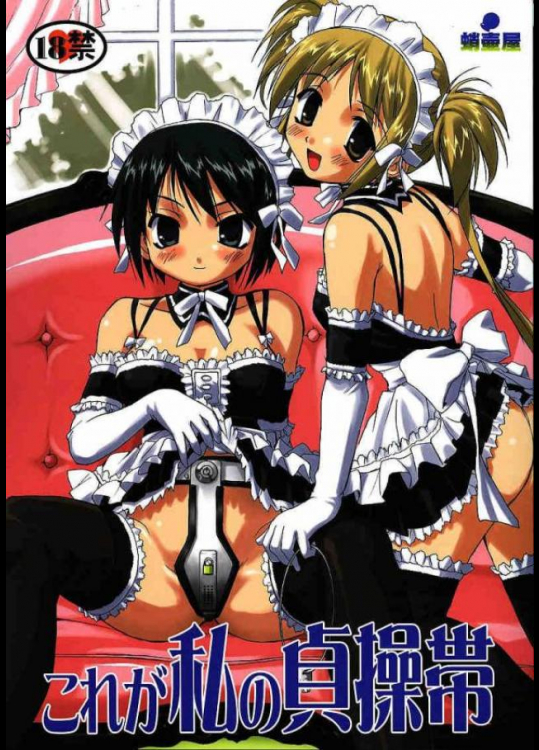 これが私の貞操帯