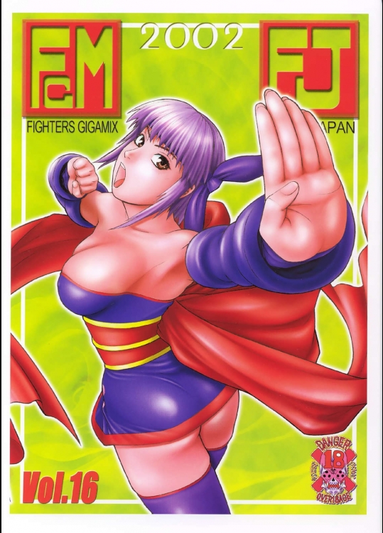 FIGHTERS GIGAMIX Vol.16          