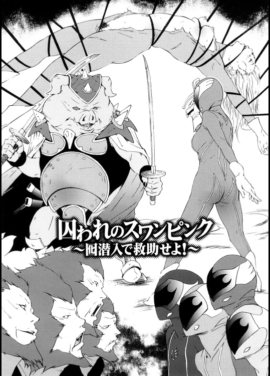 SCHAFT SECURITY SYSTEM