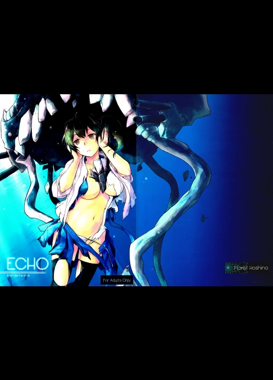 (我、夜戦に突入す! 2) [星野生花店 (ほしの壱夜)] ECHO (艦隊これくしょん -艦これ-)_3