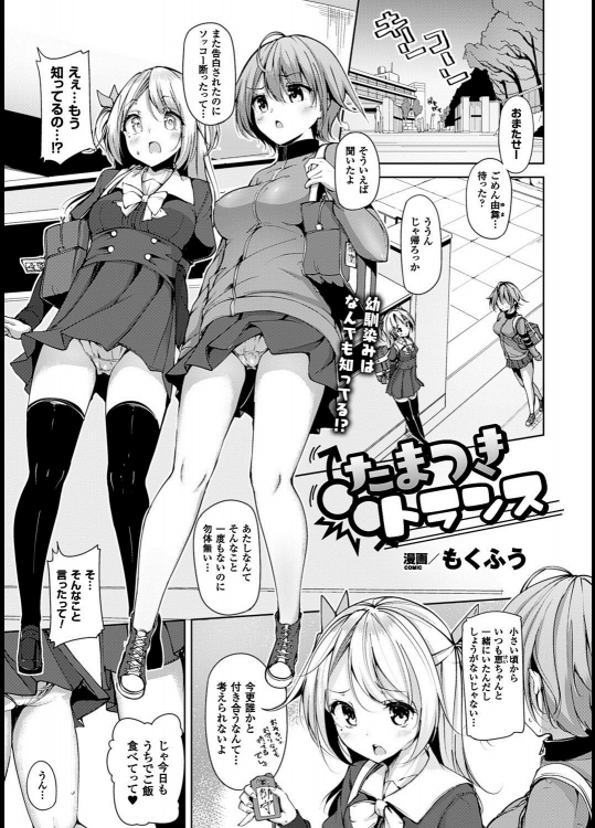 [もくふう] たつまきトランス