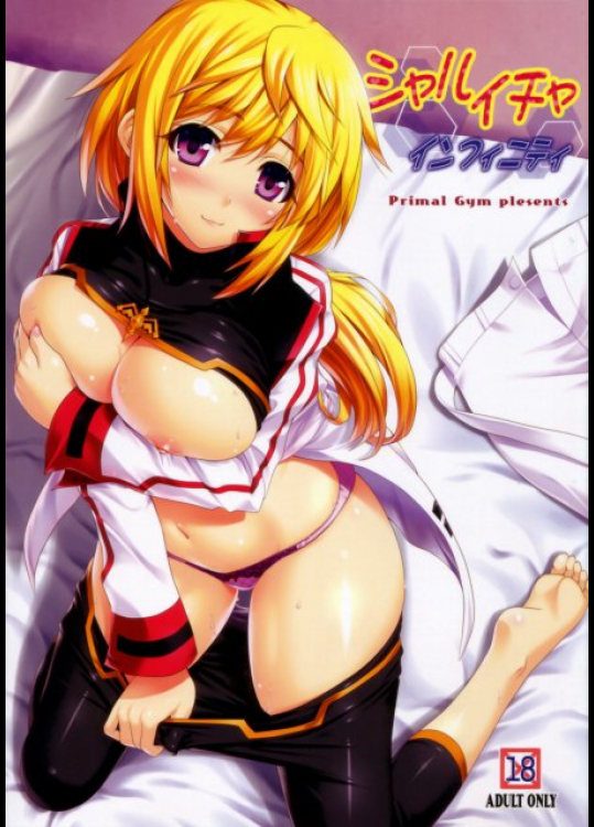 シャルイチャインフィニティ IS＜インフィニット・ストラトス＞同人誌