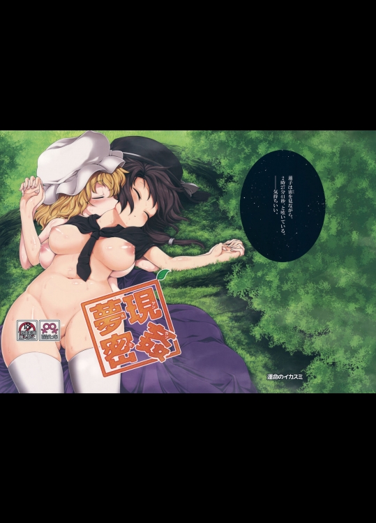 (例大祭13) [運命のイカスミ (春雨)] 夢現密姦 (東方Project)