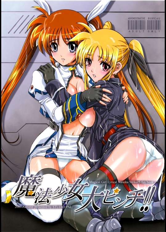 【レイプ】魔法少女リリカルなのはStrikerSのエロ同人誌_5